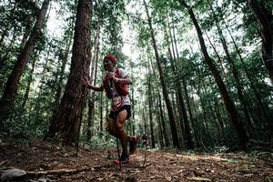 BIB: 
                            <button type="button" onclick="openModal(25261230)" class="btn btn-primary btn-sm float-right btn-popup" data-toggle="modal" data-target=".modal-high-quality">
                        <i class="fas fa-shopping-cart"></i> Add to Cart
                    </button>
                                            <button type="button" onclick="isThisMe(25261230, true)" class="btn btn-success btn-sm float-right btn-popup btn-isme hidden" data-toggle="tooltip" data-placement="bottom" title="นี่คือรูปของคุณใช่ไหม คลิกที่นี่เพื่อเอาเข้าอัลบั้ม">
                        <i class="fas fa-plus"></i> Add to album
                    </button>
                    <button type="button" onclick="isThisMe(25261230, false)" class="btn btn-warning btn-sm float-right btn-popup btn-isnotme hidden">
                        <i class="fas fa-ban"></i> Remove from album
                    </button>